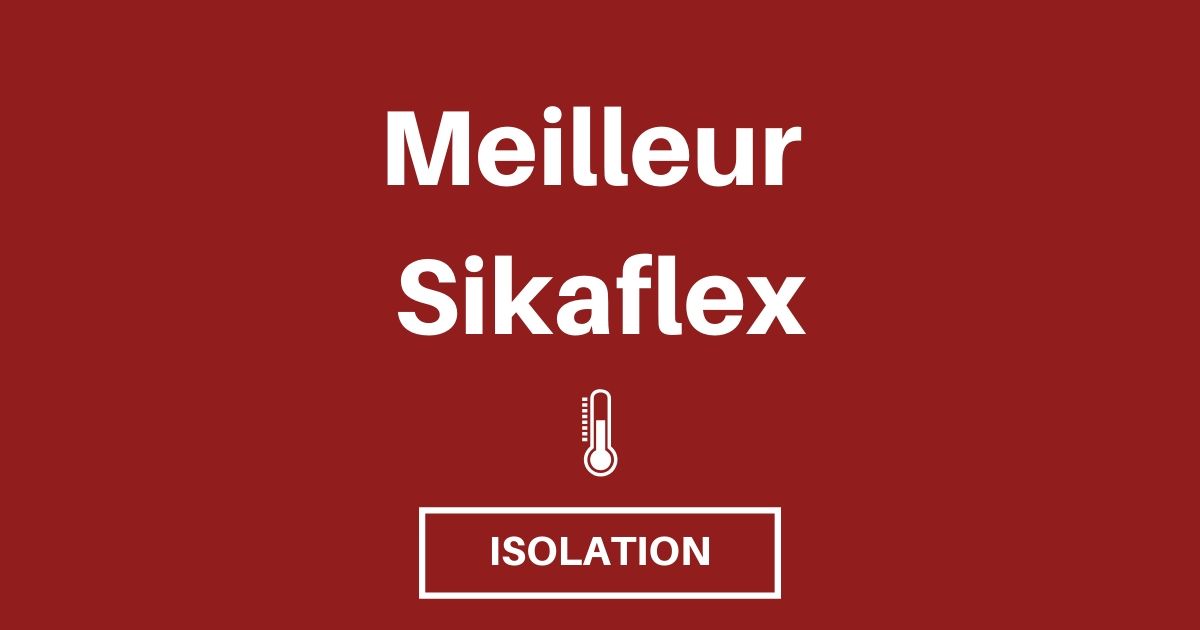 Sikaflex 522 pour Etanchéité et Collages Simples du Fourgon